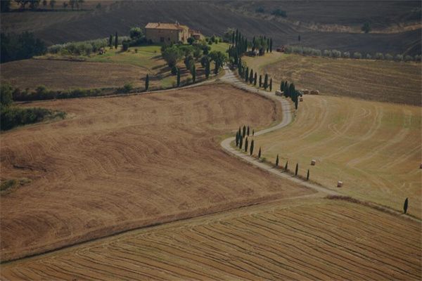 梦到了田埂是什么意思