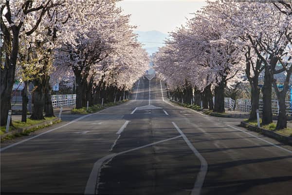 梦见堵路是什么意思