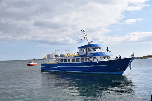 梦到了游船是什么意思