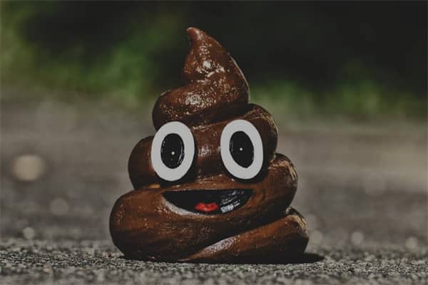 梦见梦大便是什么意思