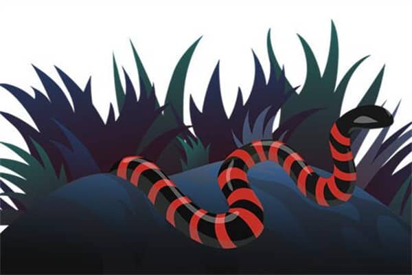 梦到了红色大蛇是什么意思