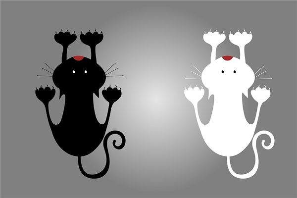 梦到孕妇黑猫是什么意思