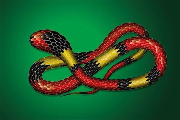 梦到蛇缠身是什么意思