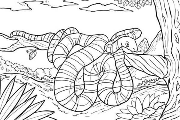 梦到了白花蛇是什么意思