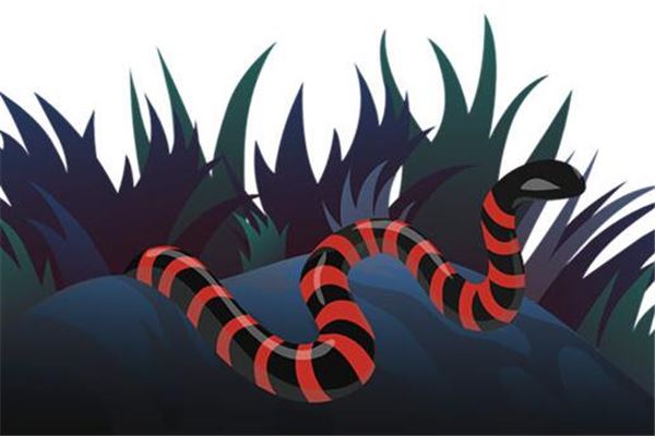 梦到了多头蛇是什么意思