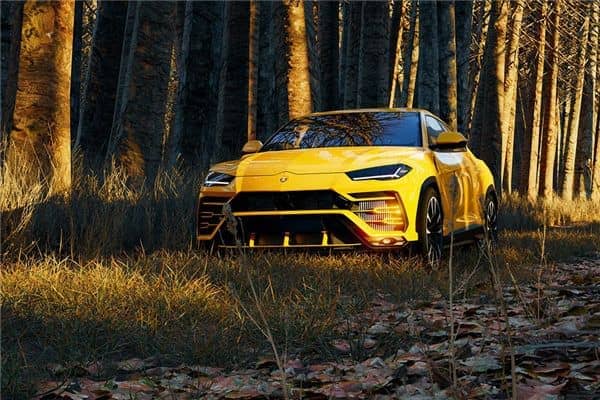 梦到了汽车被偷了是什么意思