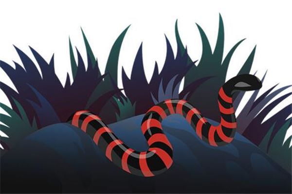 梦到了孕妇打死蛇是什么意思