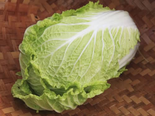 白菜